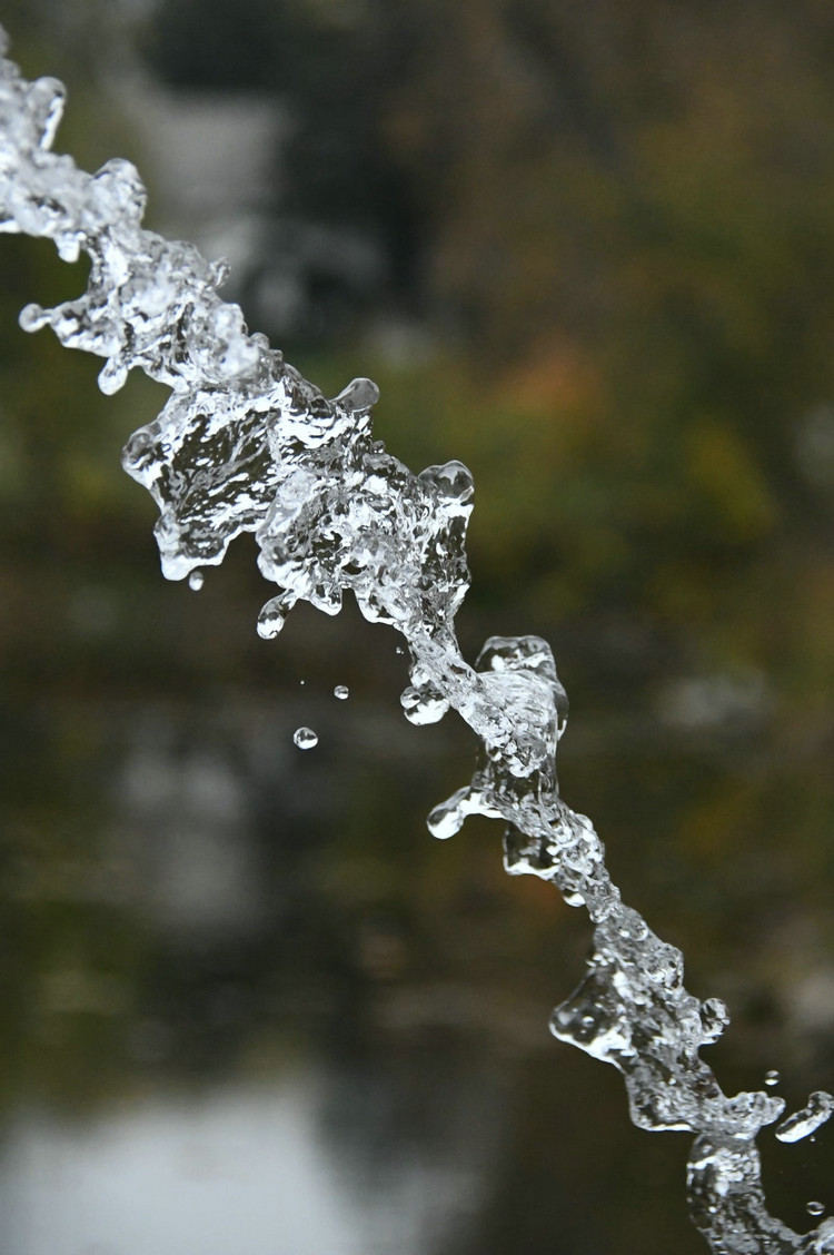 氨氮在線監(jiān)測儀