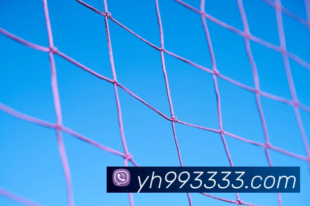 银河娱乐官网入口服务体系